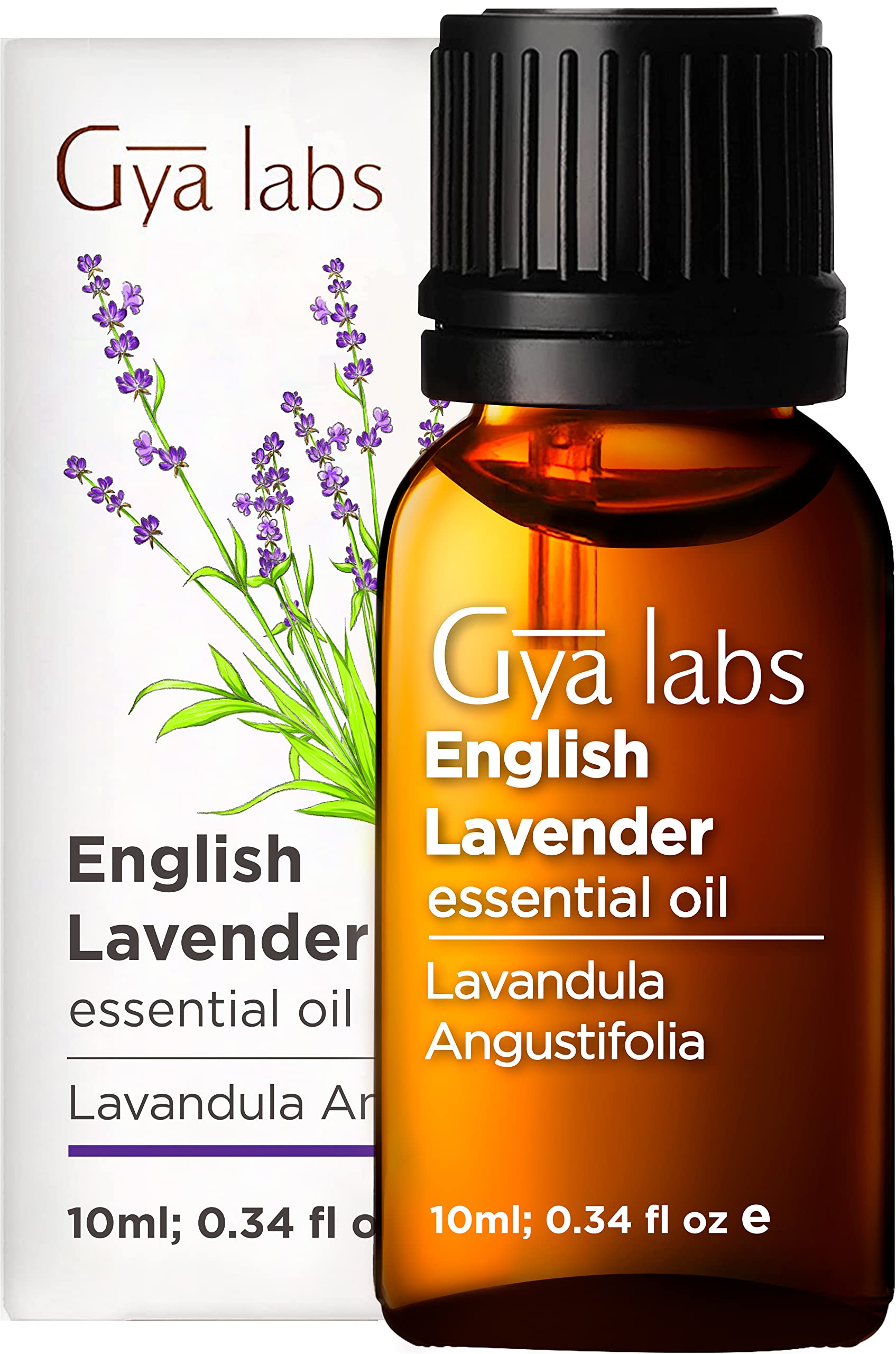 Gya Labs Vanilla Essential Oil for Diffuser - Vanilla Oleoresin Essential  Oil - Vanilla Essential Oil for Skin - Long Lasting Vanilla Oil Perfume