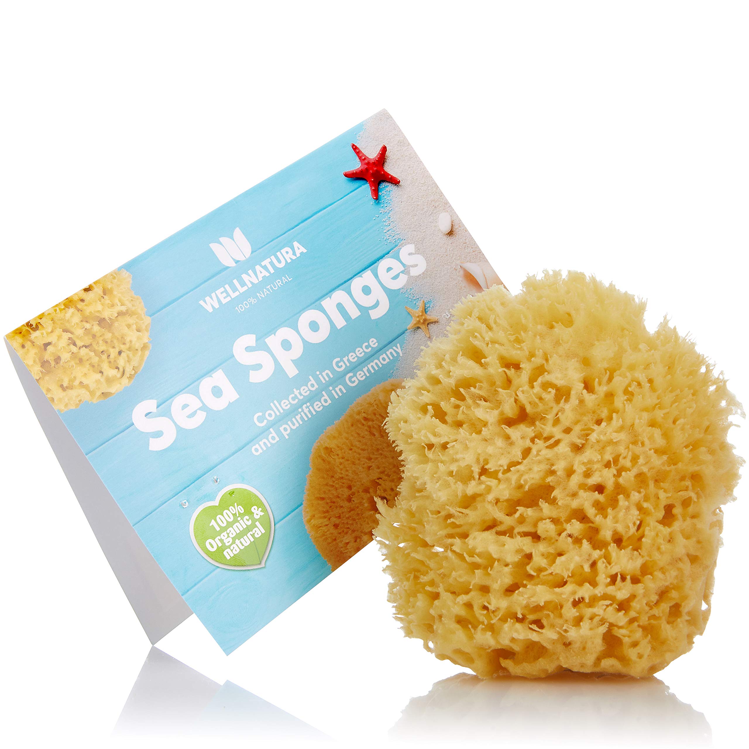 Sea Sponge for Bathing - 100% Natural - 4 (Large) - Soft Sensitive and  Eco-Friendly - Especially Suited for Adults - Natural Sponge sea sponges  for Bathing Natural sponges for Bathing