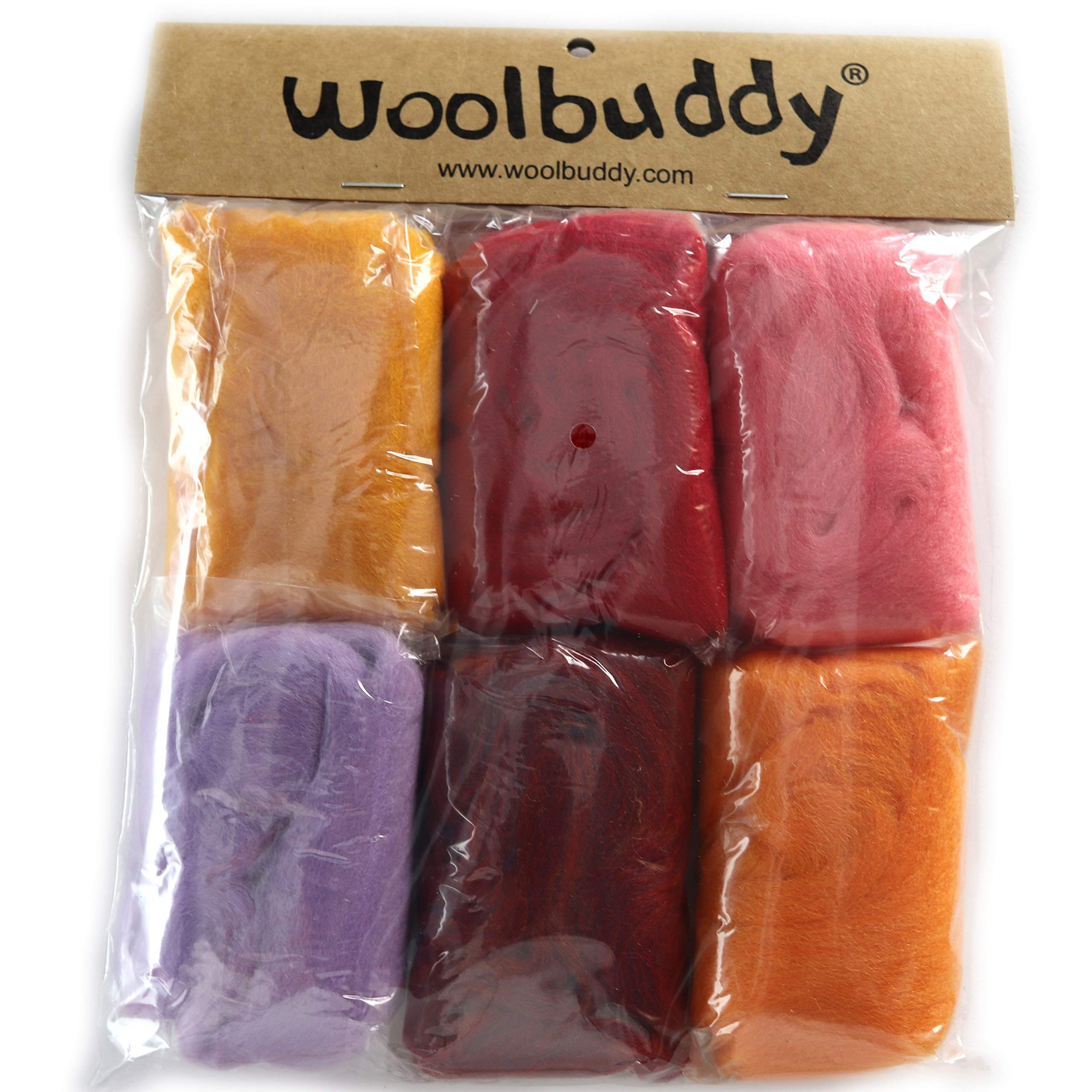 Woolbuddy Needle Felting Kit, 4 Felted Dinosaurs, Felted Animals, Felting Kit for Beginners Adult and Kids, Felting Supplies Included Felting Wool, Fe