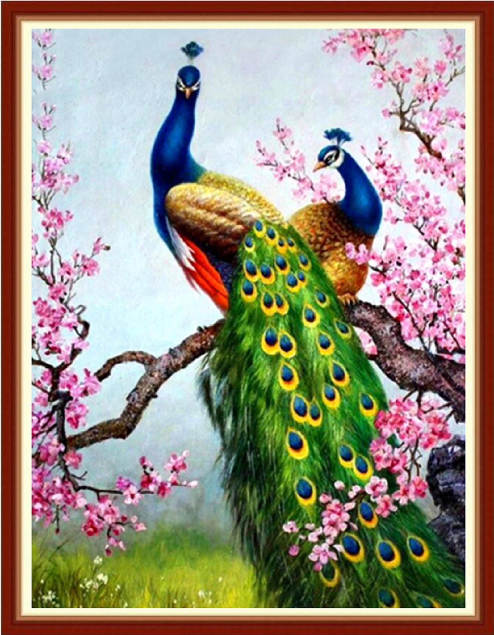 Paintcolor Peacock Stamped Cross Stitch Kits for Adults Beginners Animals Art DIY Cross Stitch Patterns Kits Printed Dimensions Needlepoint Kitscrafts