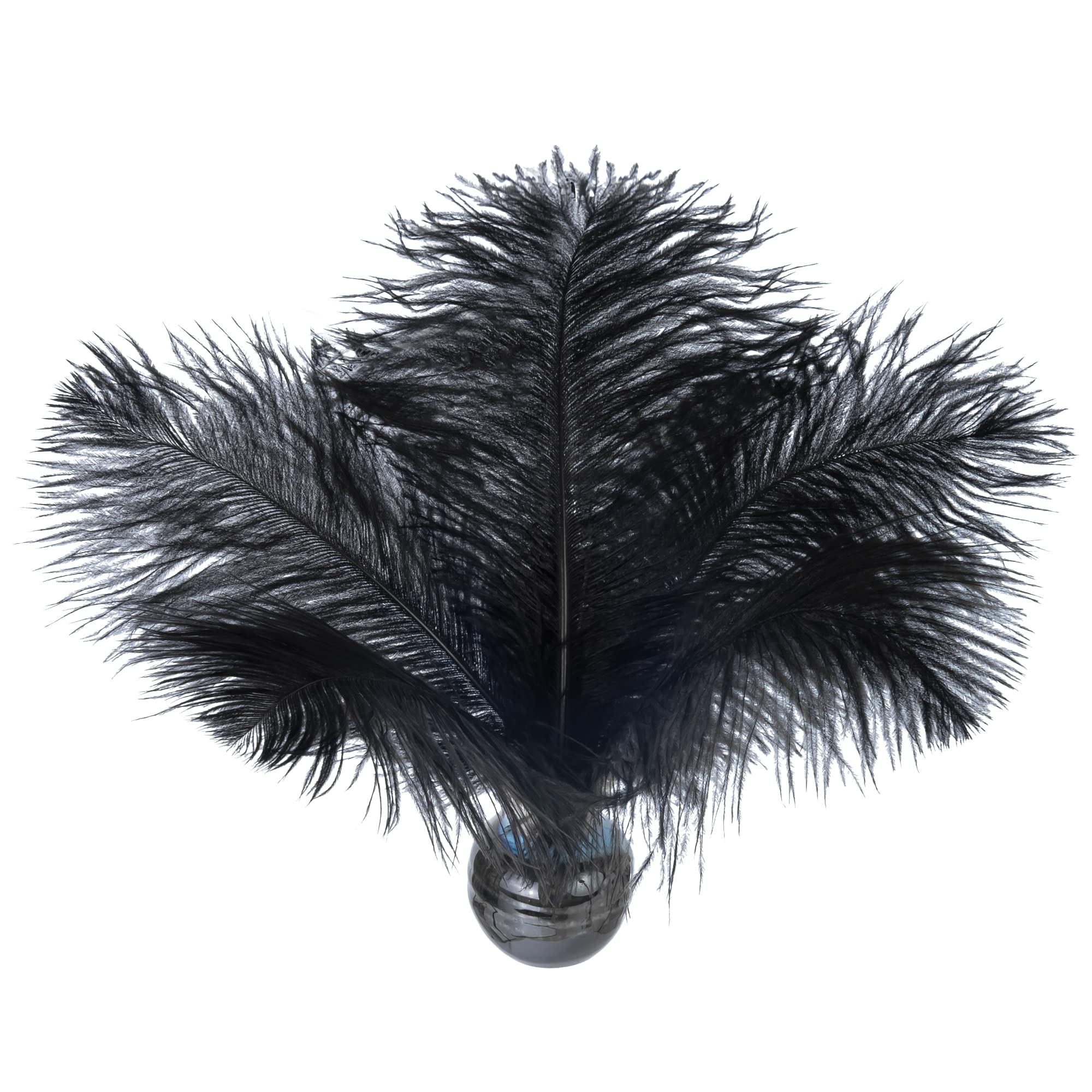 Piokio 20 pcs Natural Black Ostrich Feathers Plumes 8-10 inch(20