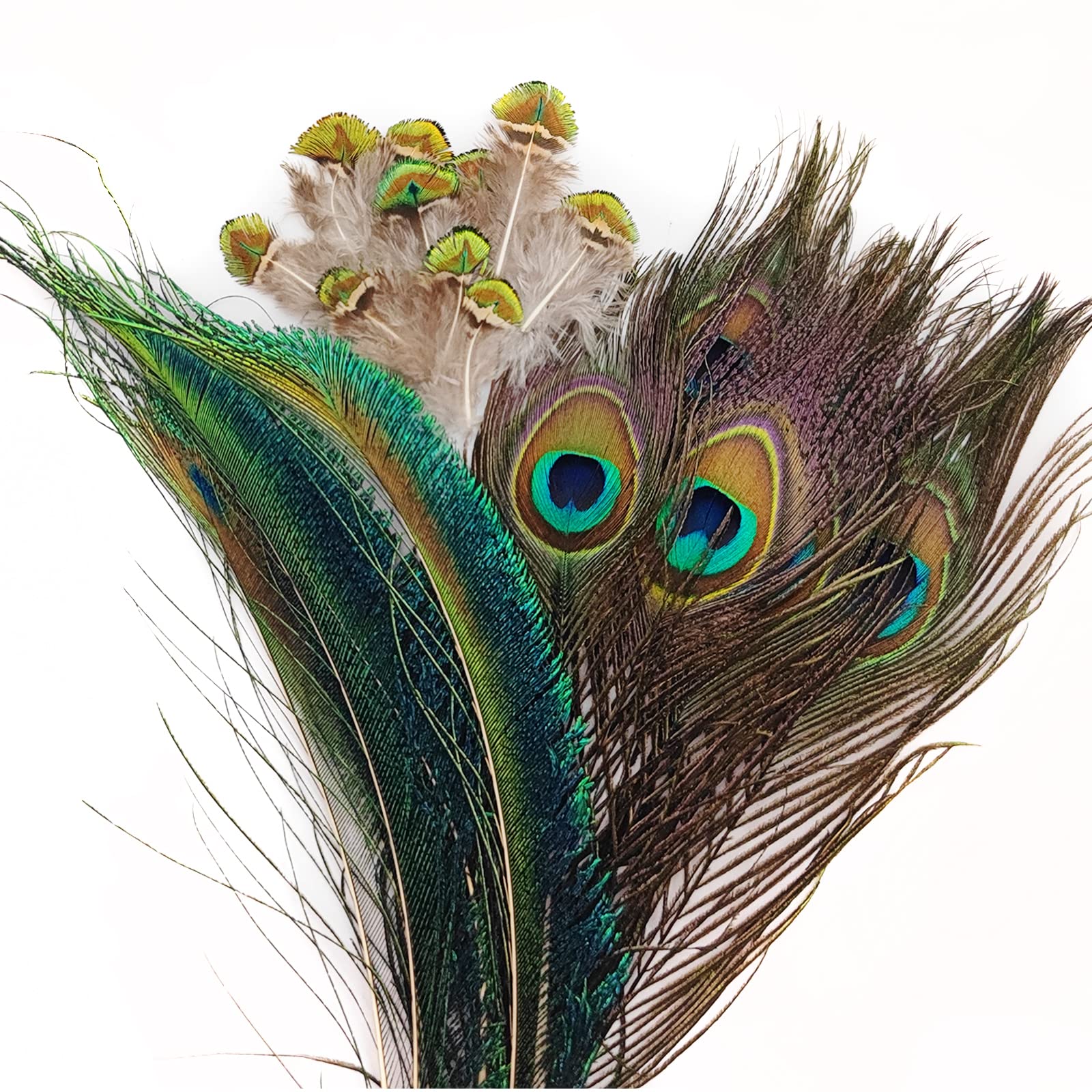 20 pcs Real Natural Peacock Feathers Bulk Set 3 Styles Peacock Feathers for  Crafts Multicolored DIY Craft Hat and Vase Decoration Easter Decoration  Wedding Flower Arrangement