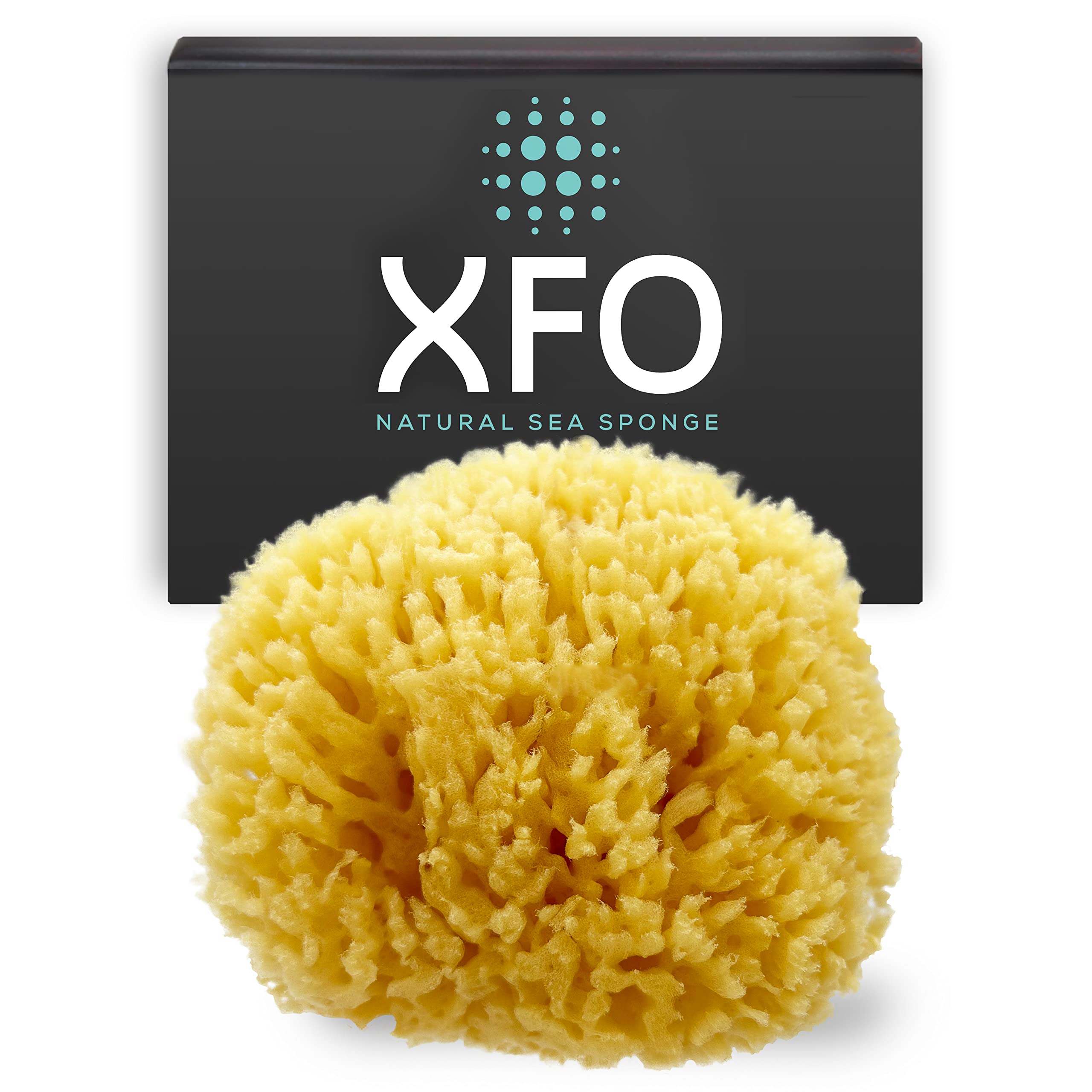 ideelz XFO Sea Sponge (Medium 4.5) All Natural Yellow Sponge Natural Loofah  Sponge for Bathing Scrubbing and Exfoliating - Great Face Scrubber and  Shower Scrubber - Grown Off The Coast of The USA