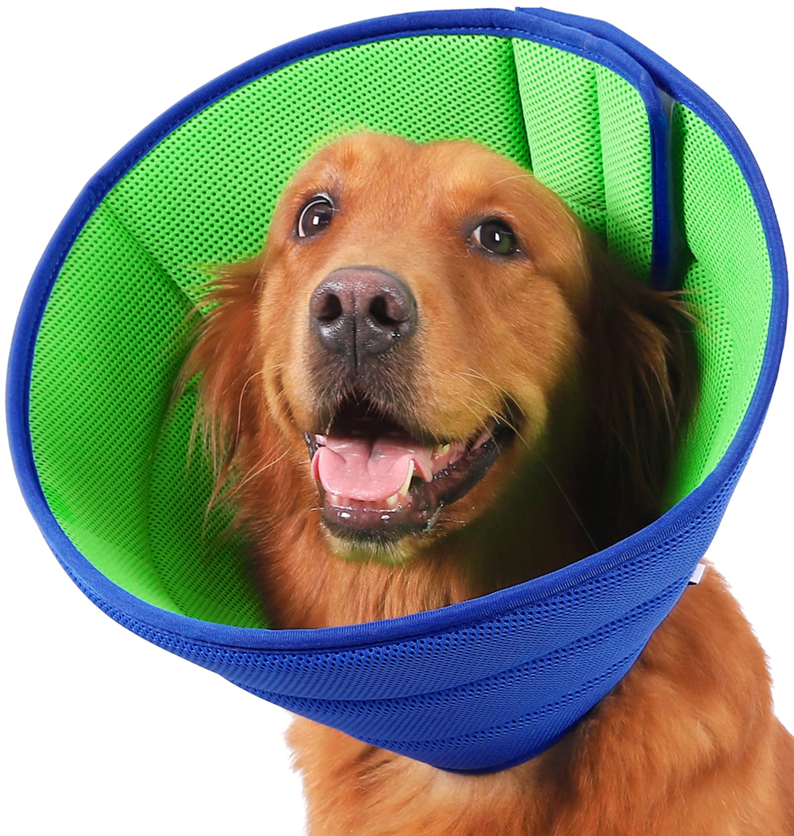 petsmart heated water bowl
