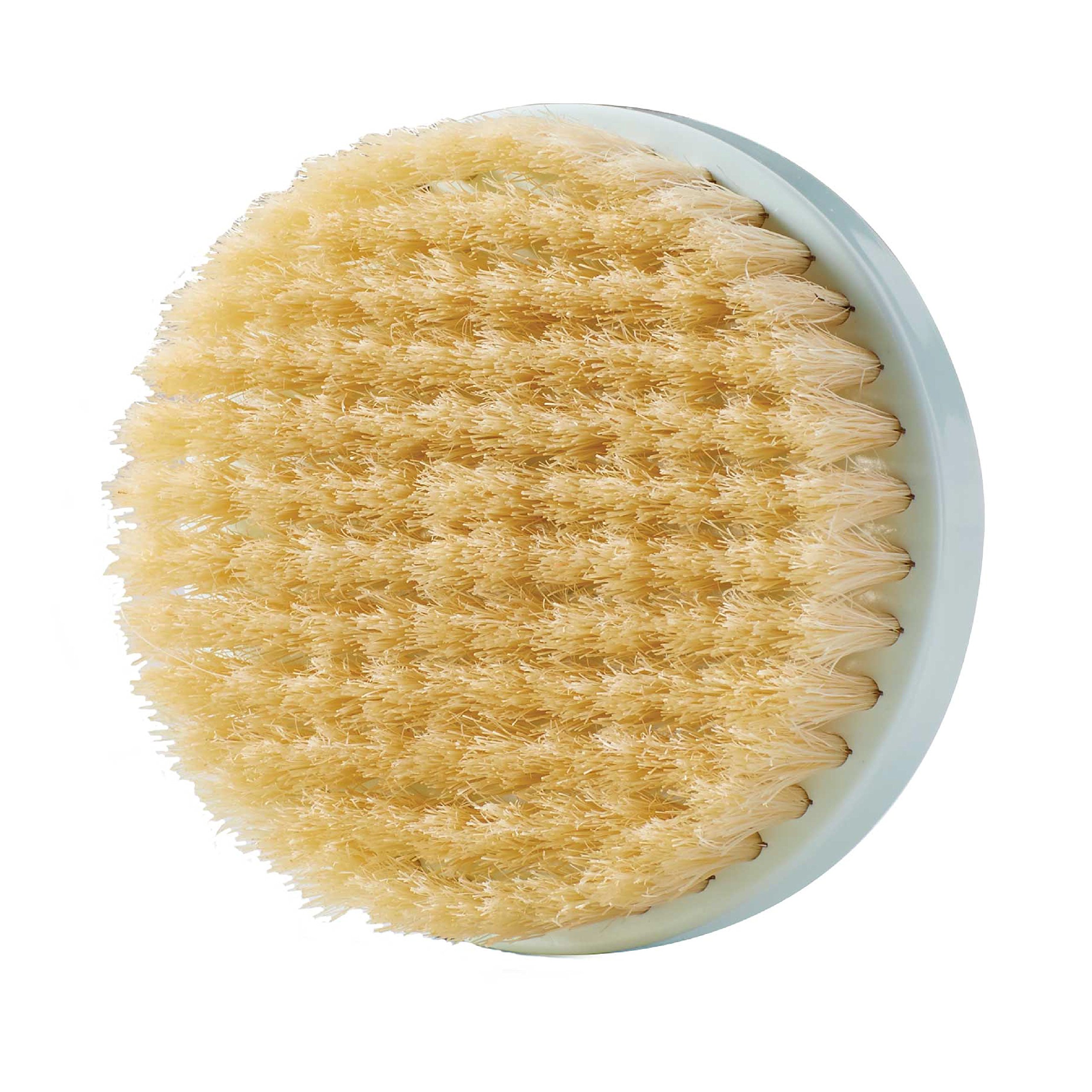 Remington Reveal Natural Brush Head