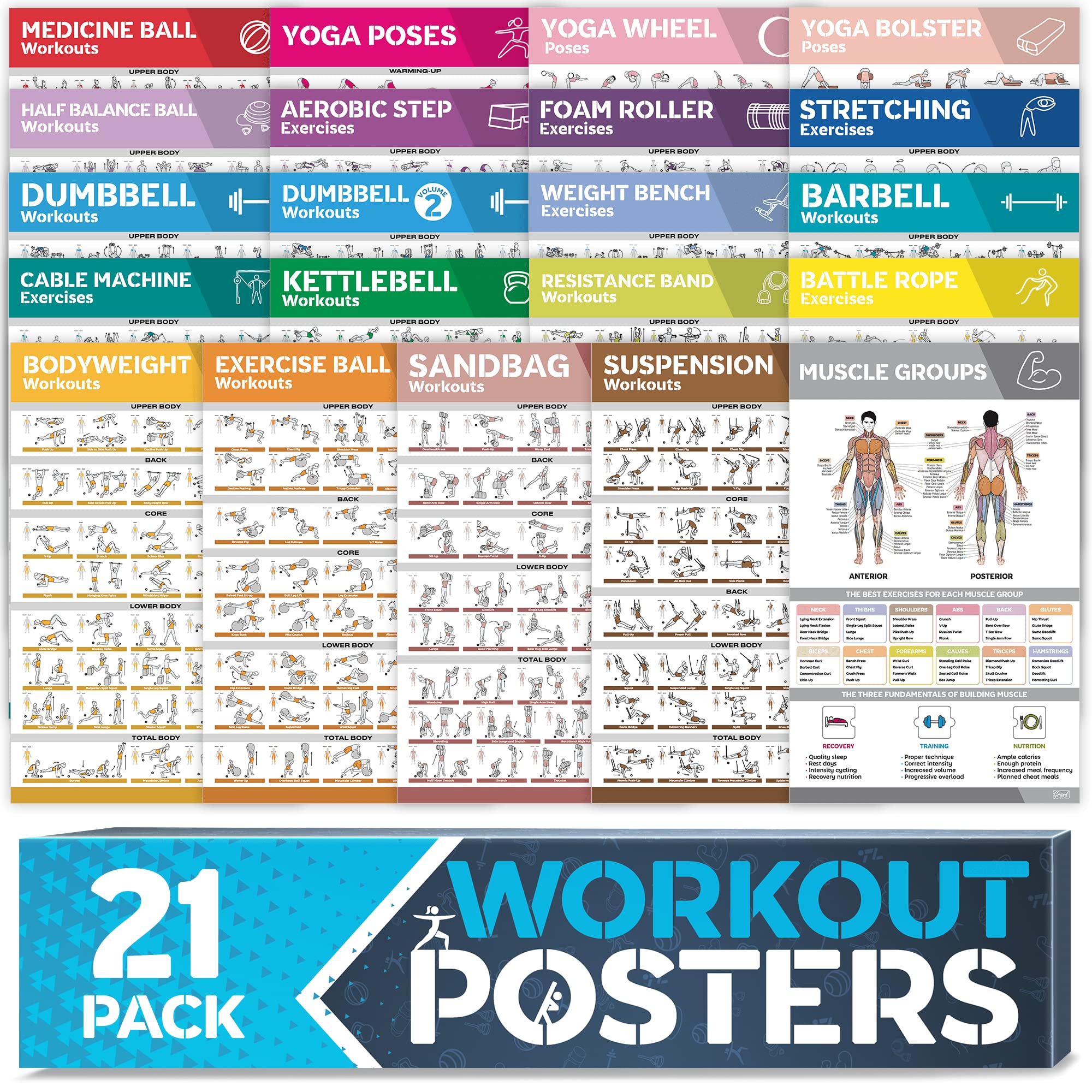 21-PACK Laminated Large Workout Poster Set - Perfect Workout