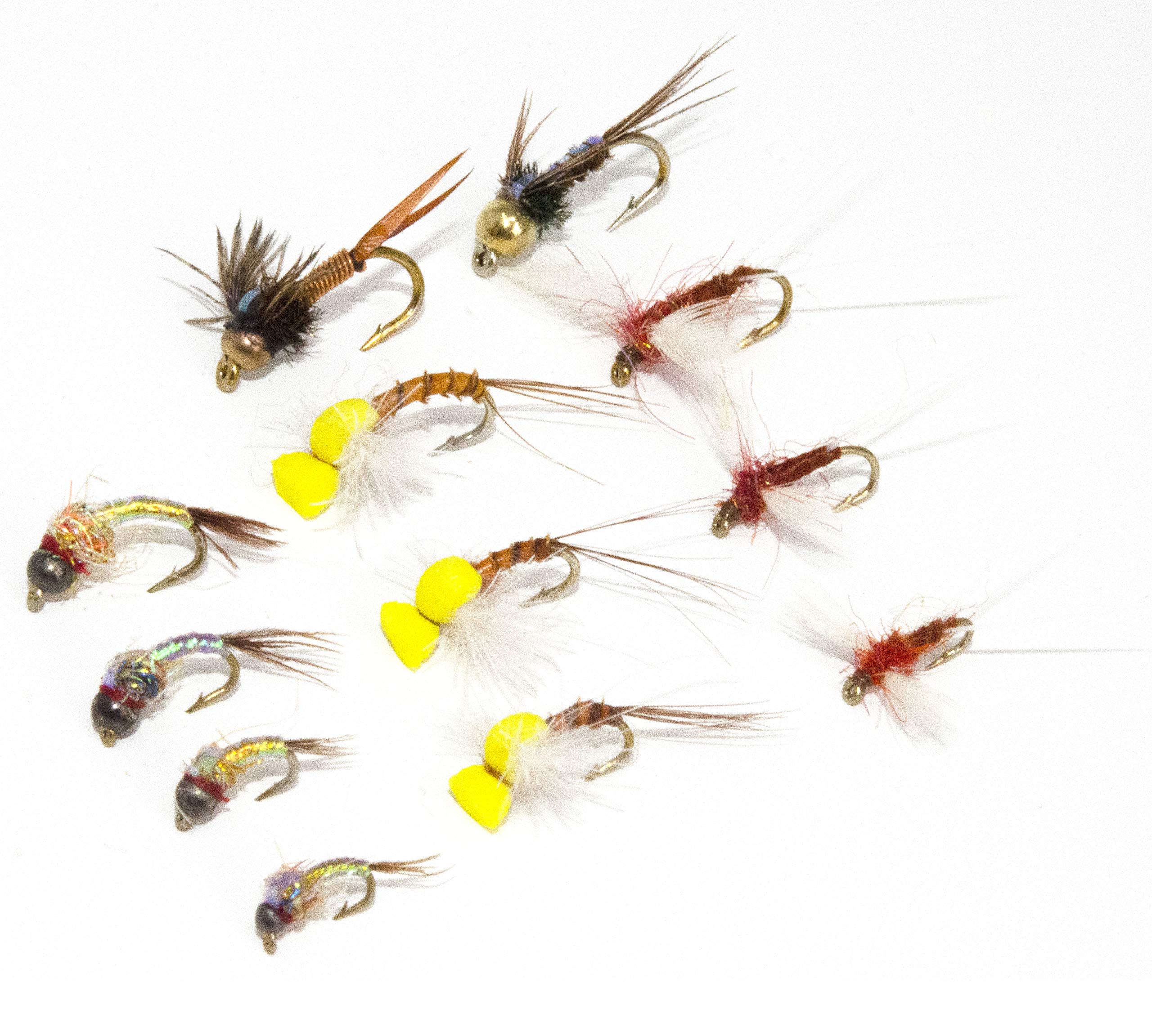Favorite Fly Fishing Flies Assortment | Dry, Wet, Nymphs, Streamers, Wooly  Buggers, Hopper, Caddis | Trout, Steelhead, Bass Fishing Lure Set