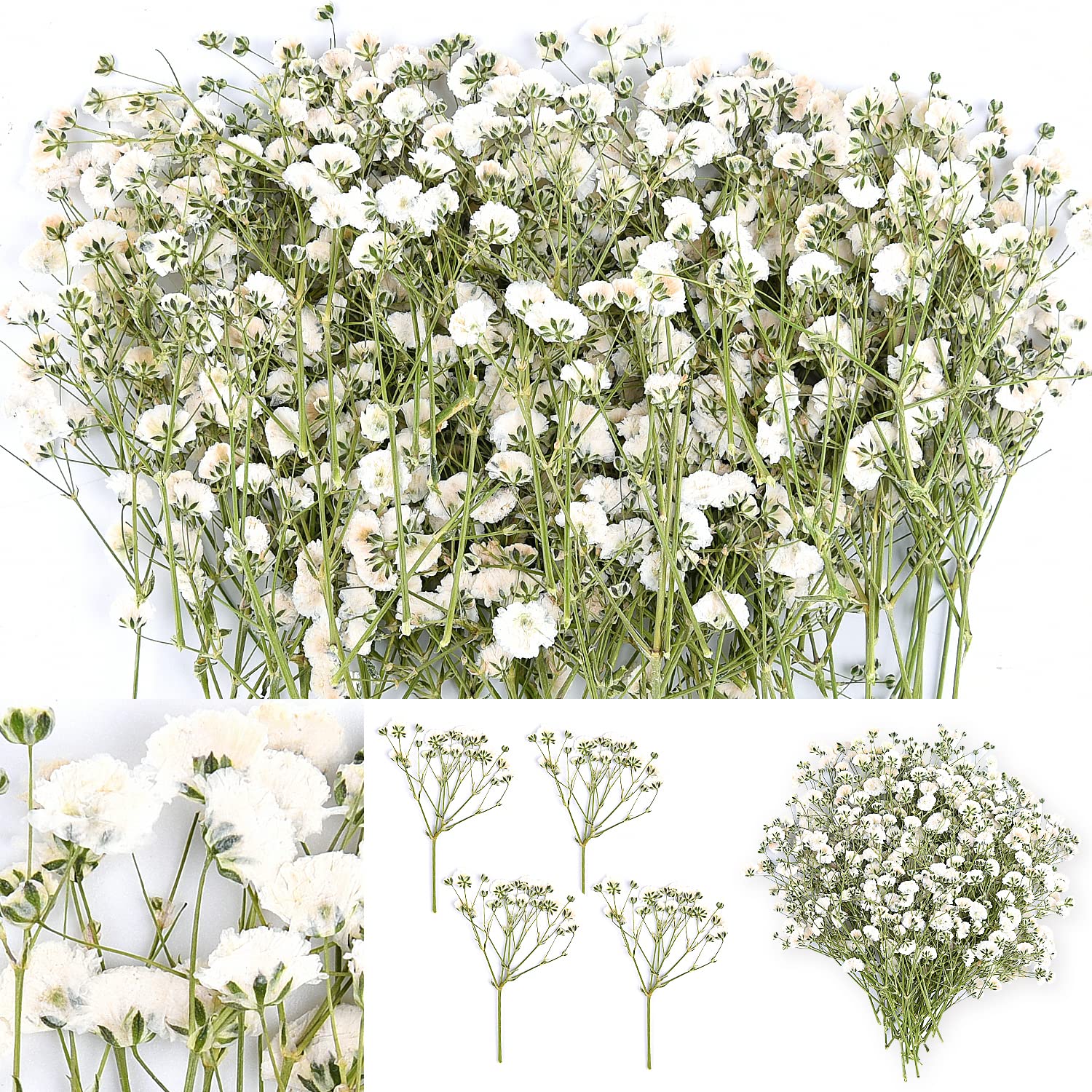 200 Pieces Dried Babys Breath Flowers White Babys Breath Real