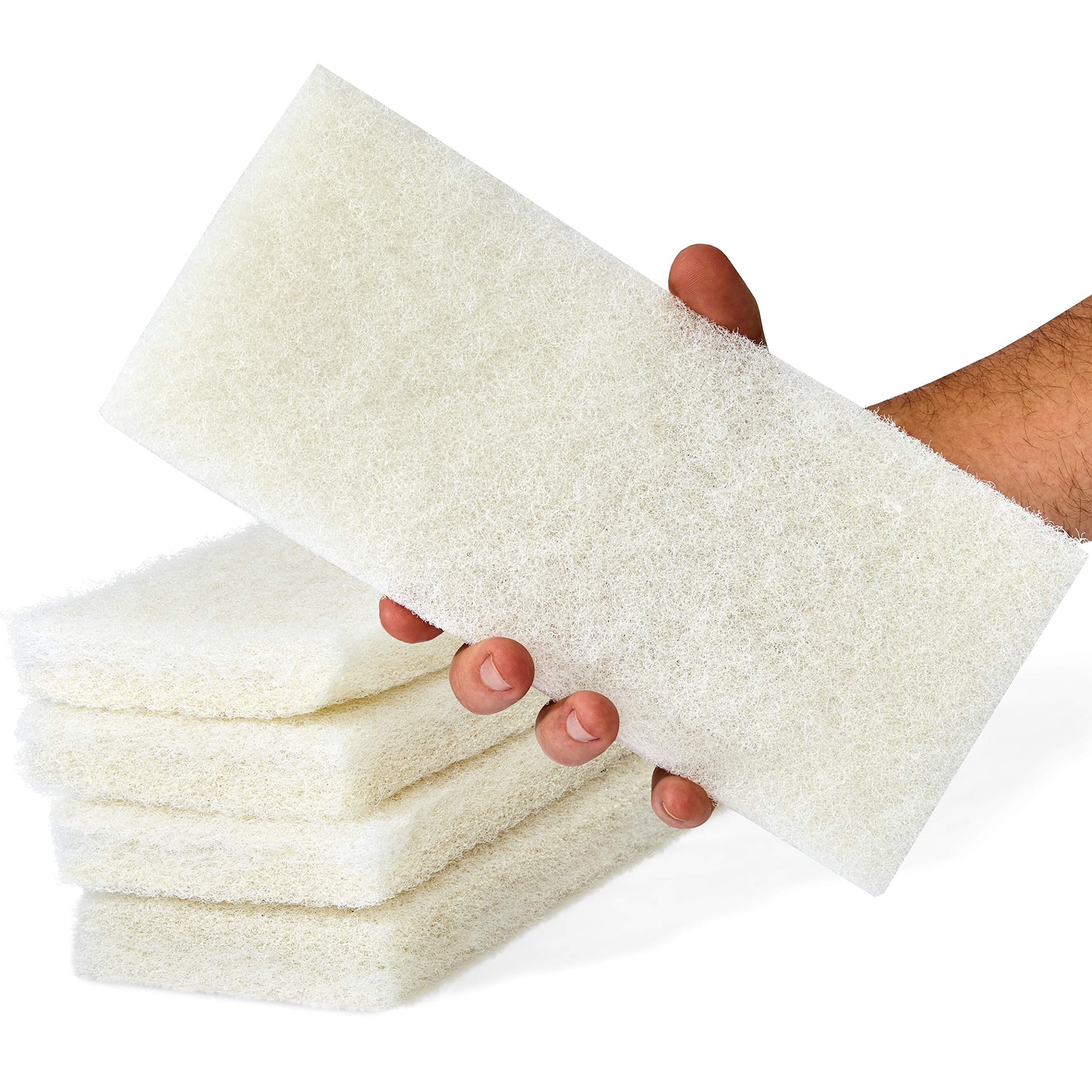 The 5 Best Sponges