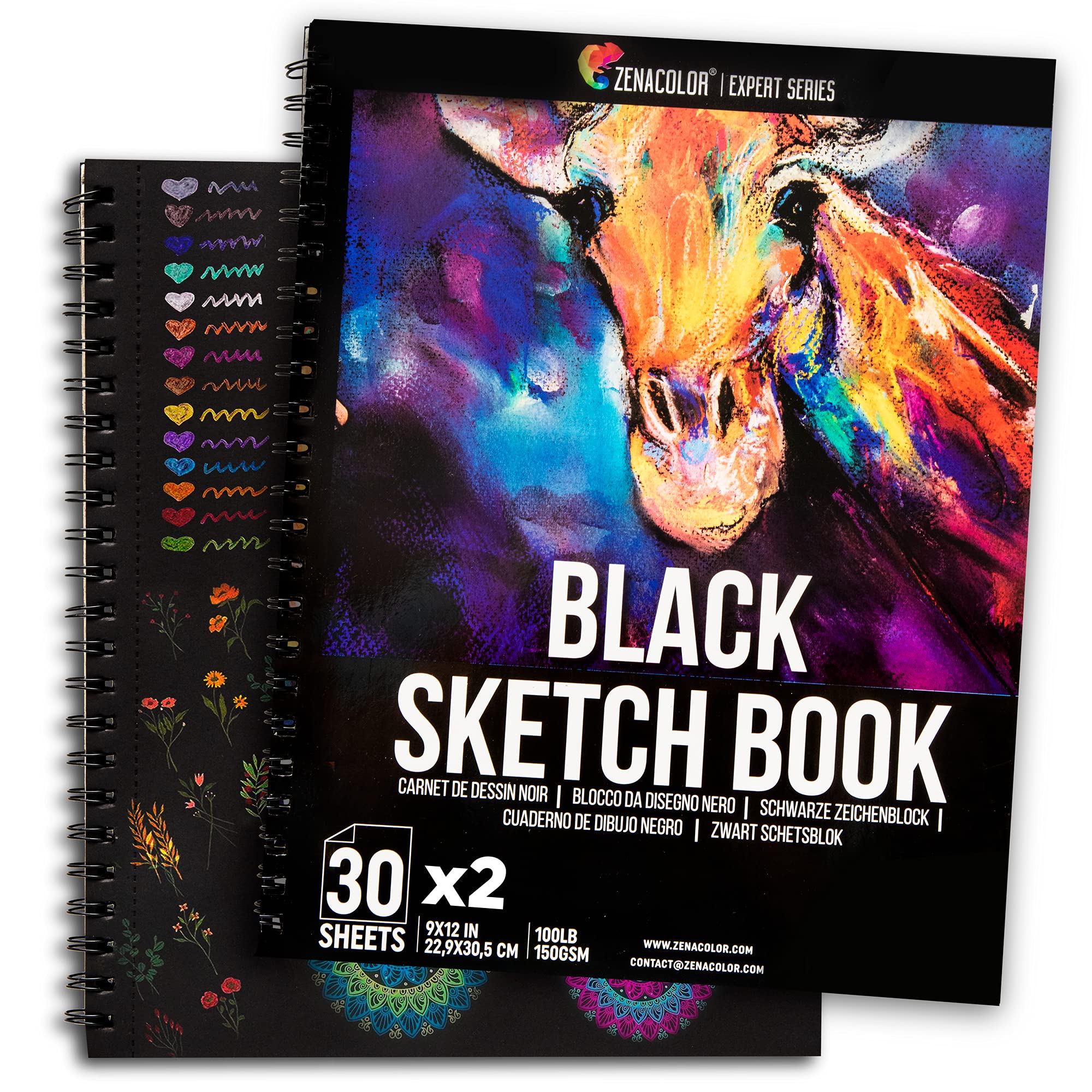 Zenacolor 74 Pack Drawing Set, Pro Art kit include Sketchbook, Colored,  Graphite, Watercolor, Metallic & Charcoal Pencils for Drawing +  Accessories