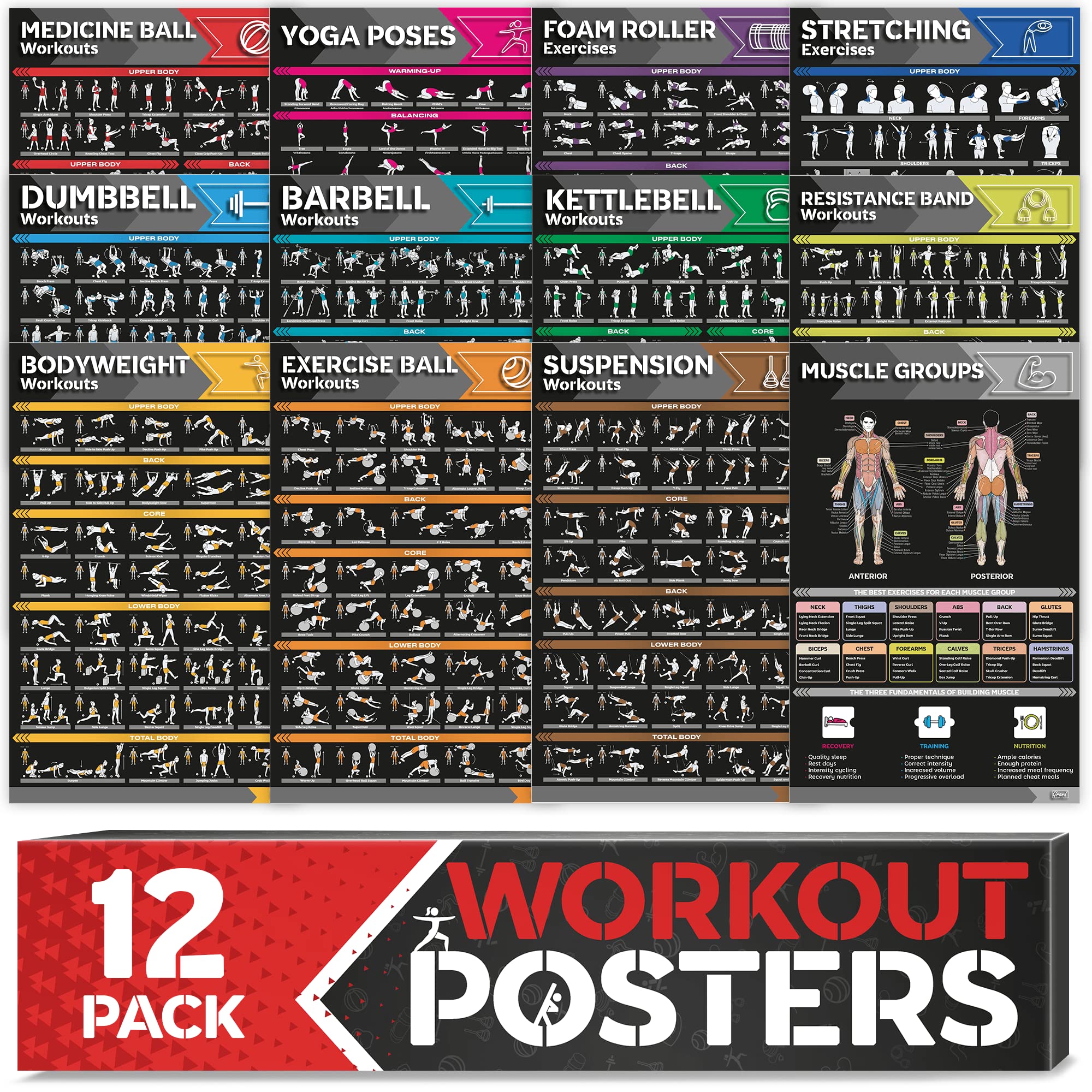12-PACK Laminated Large Workout Poster Set - Perfect Workout