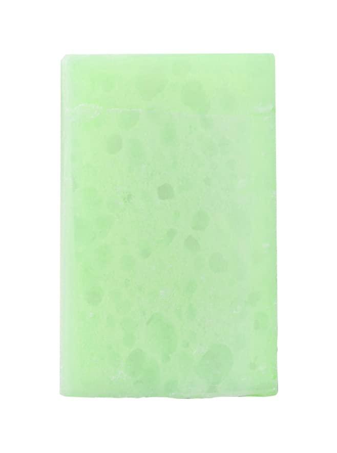 Aloe Vera Infused Soap Sponge - 10 Pack | Gentle Exfoliation and Hydration  | Buy Now with Express International Delivery | GoSupps.com