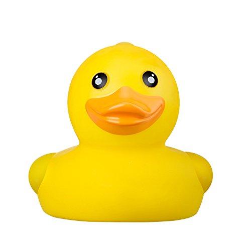 B&h baby deals duck thermometer