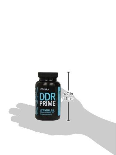 Ddr prime. Ddr prime