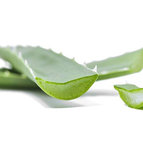 VEGAN Andmetics Brow Wax Strips for Thicker & Fuller Brows Eyebrows