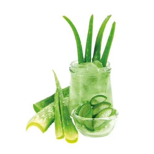 Buy Cuddly Soft Fabric Softener with Aloe Vera - Dermatologically Tested  Eco-Friendly 1L for Up to 38 Washes | Buy Now with Express International  Delivery | GoSupps.com