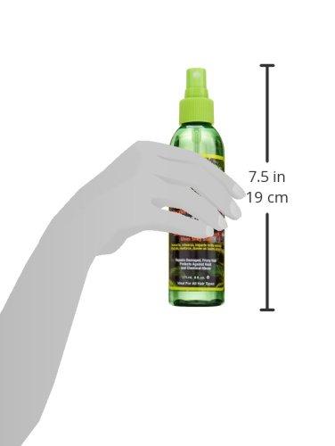 Fantasia Brazilian Hair Oil Spray 6oz Nourishing Hair Treatment