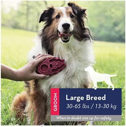Kong zoom groom sales sizes