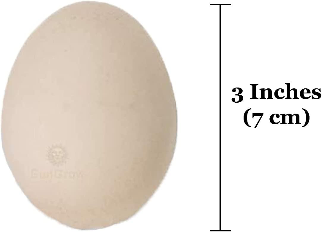 SunGrow Wooden Fake Eggs for Laying Hens 4 Pack Beige Nest Box