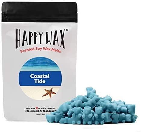 Happy Wax Endless Summer Scented Natural Soy Wax Melts – 6 Oz. of Scented Wax  Melts, Made in USA Endless Summer Mix 6 oz