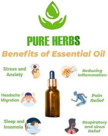 Buy Pure Herbs Strawberry Seed Oil - 100% Natural Carrier Oil with Dropper  (30 ml) - Ideal for Skincare & Haircare | Buy Now with Express  International Delivery | GoSupps.com