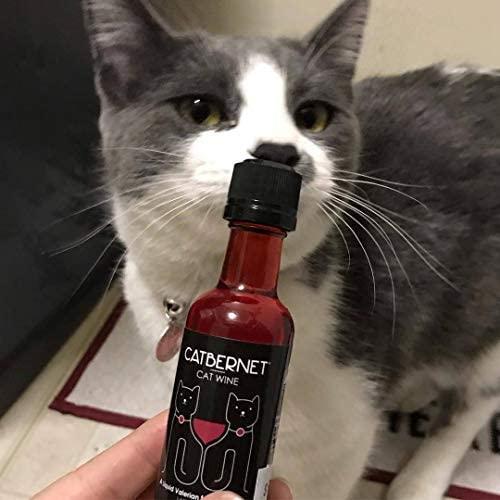 Apollo cat wine sales