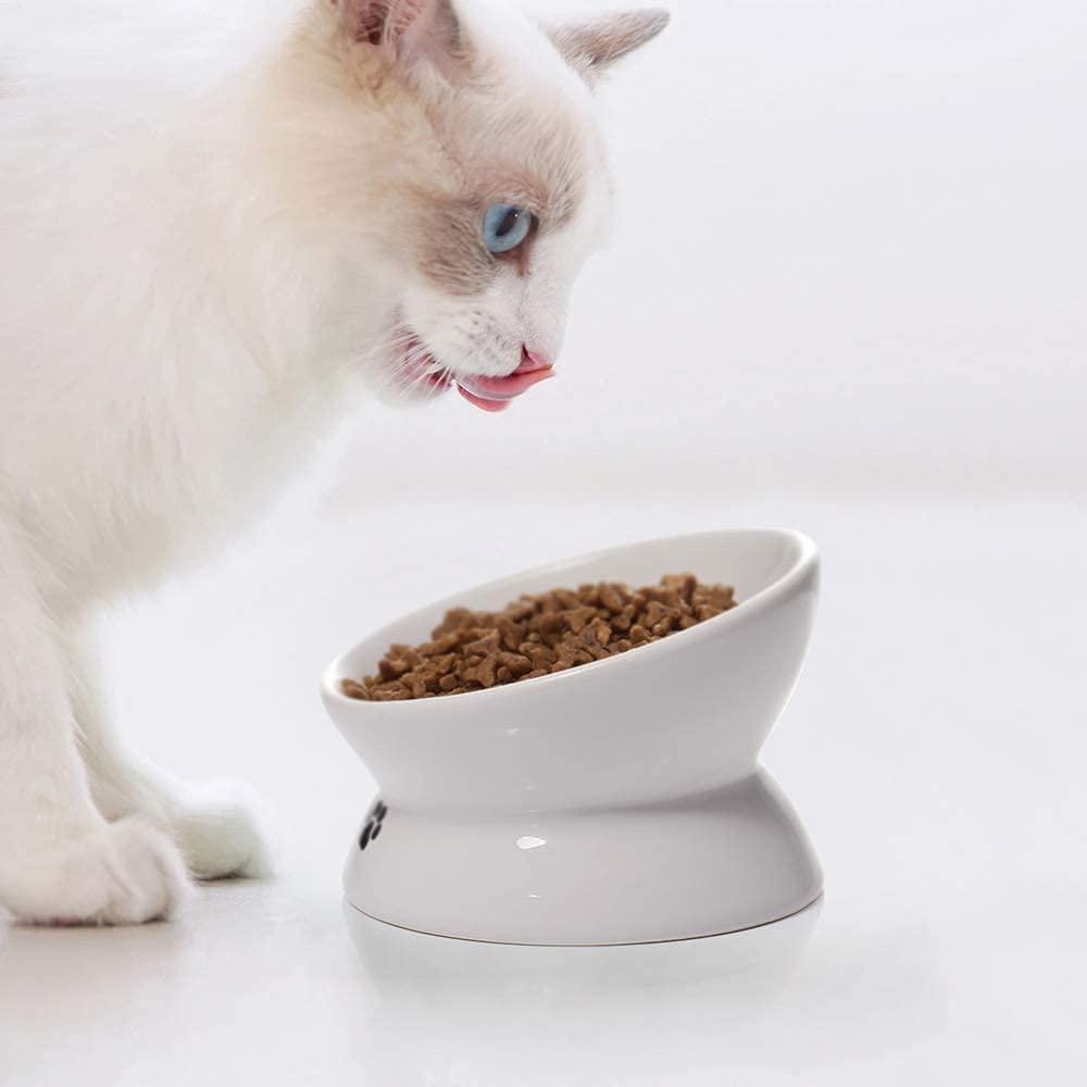 Y YHY Elevated Cat Food Bowl, Raised Pet Food and Water Bowl, Cat and Small Dog  Bowl, Tilted Ceramic Cat Water Bowl No Spill,15oz, Dishwasher Safe White