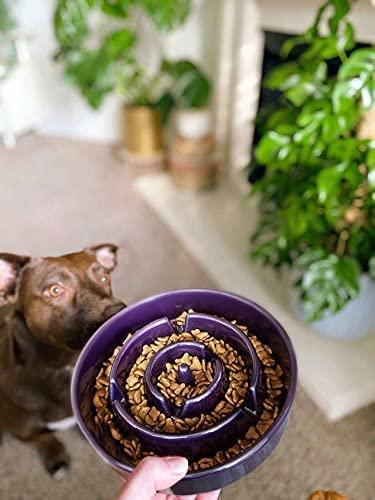 LE TAUCI Dog Bowl Slow Feeder Ceramic, Slow Feeding Dog Bowl Small Medium  Large Breed, Puppy Slow Feeder Bow For Fast Eaters, Dog Dishes to Slow Down  Eating, Puzzle Dog Food Bowl