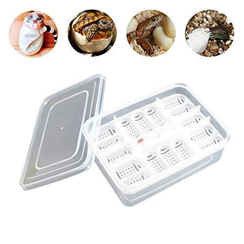 16 Grids Reptiles Eggs Incubator Tray, Amphibians Hatchery Box with Thermometer