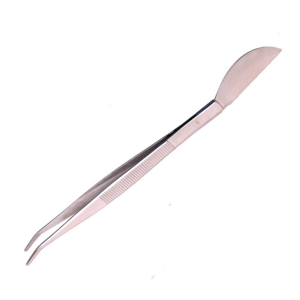 Ryuga Bonsai Spatula & Tweezers Set - 210mm Stainless Steel - Perfect for  Bonsai Care - International Shipping Available | Buy Now with Express  International Delivery | GoSupps.com