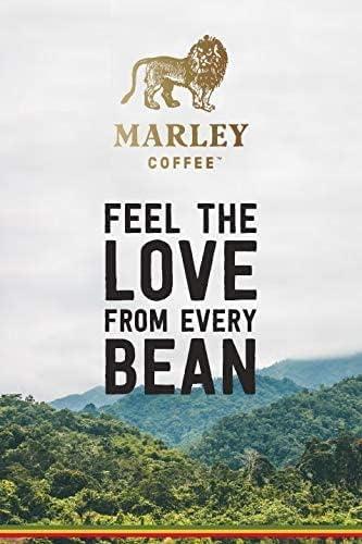 Just Coffee Co-op Maya Super Dark Roast Organic Ground Coffee, 12 Oz - View #10