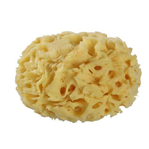 Natural Sea Sponge for Bathing Soft Premium Greek Sponges for