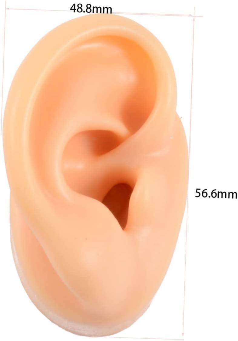 Healifty 4 Pcs Ear Model Silicone Earrings Ear Piercing Jewelry