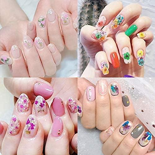 Deago 12 Colors Dried Flowers for Nail Art 3D Dry Flowers Nail Stickers  Colorful Natural Real Flower Nail Decals Nail Art Supplies (Type A) 