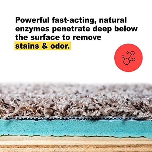 Urine Gone Pet Stain Remover Odor Eliminator Heavy Duty Carpet Cleaner
