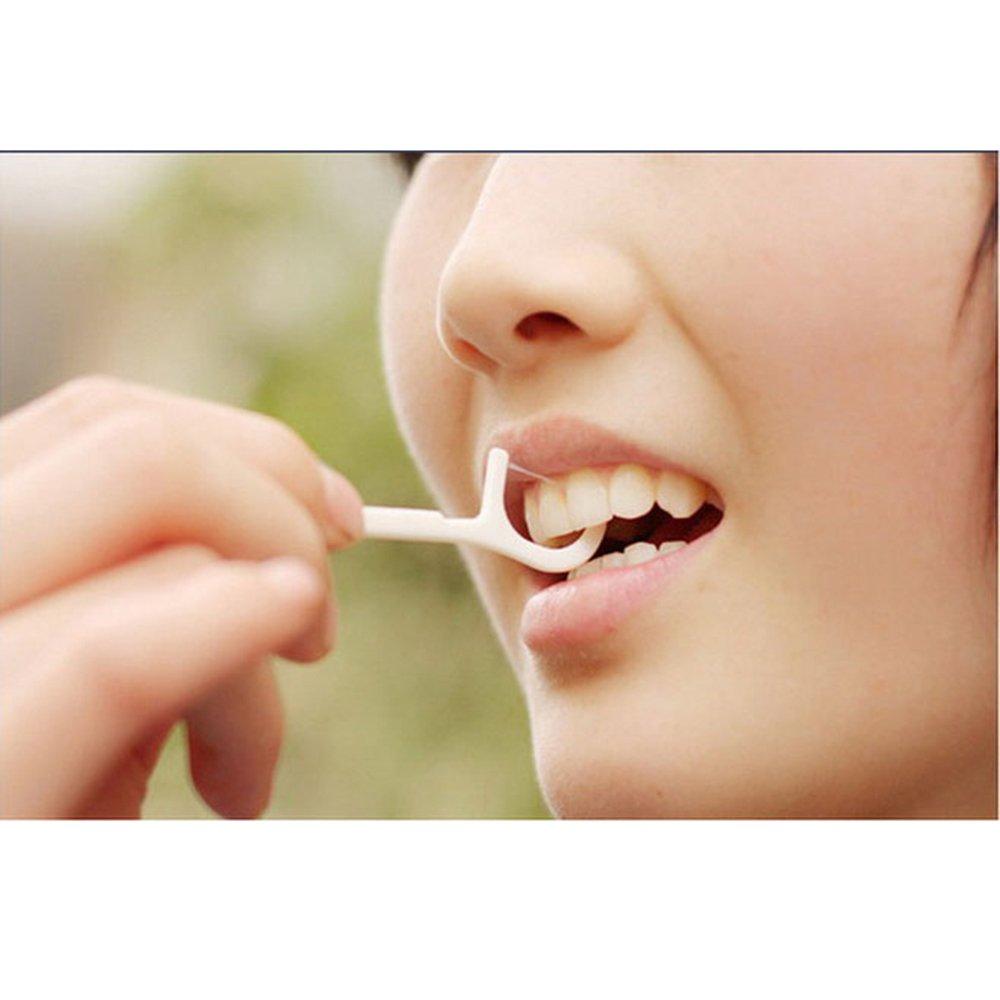 ASM Dental Floss Picks Flossers Individually Wrapped 350 Count (Packed