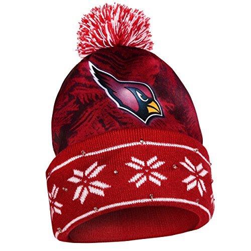 FOCO Men s NFL Team Logo Light Up Skull Winter Knit Cap Beanie Hat