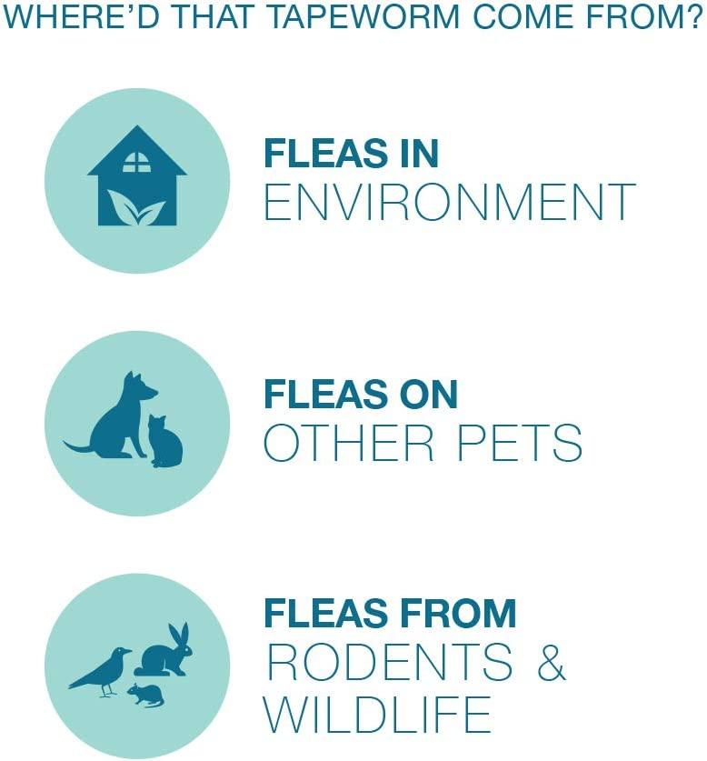 Elanco Tapeworm Dewormer (praziquantel tablets) for Cats 3Count