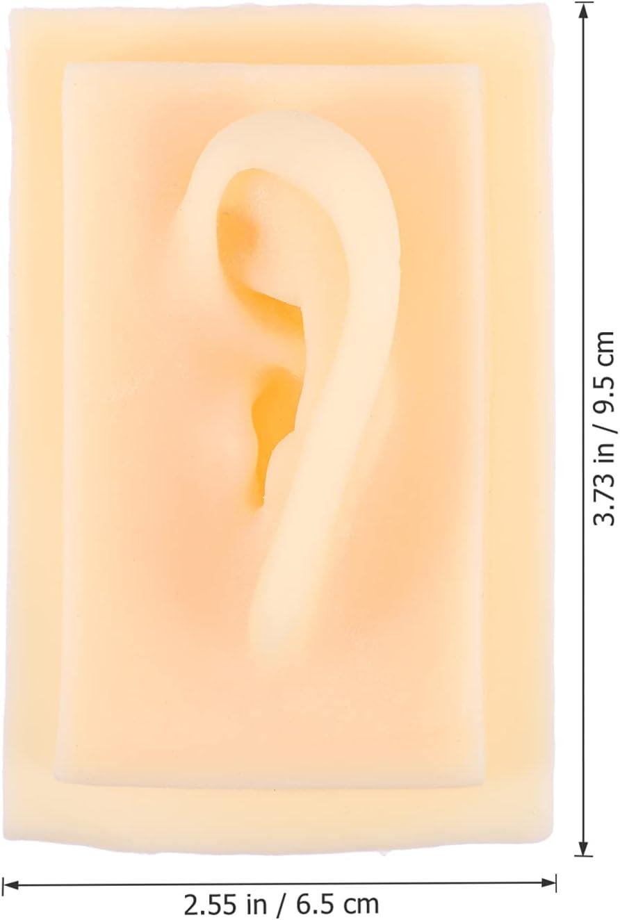 Silicone Ear Display Model - 1 Pair for Practice & Teaching | Realistic ...