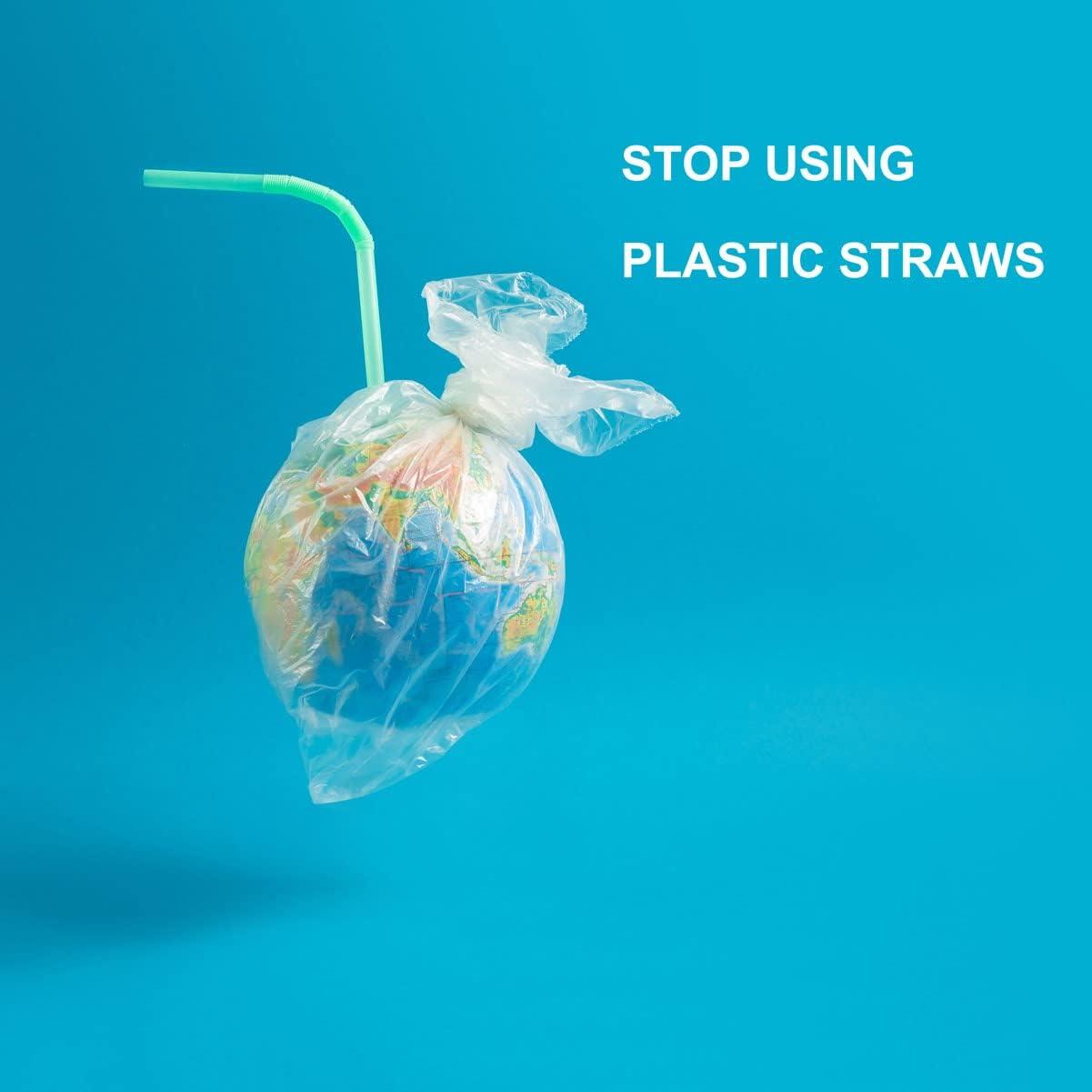 200 Count 100 PlantBased Compostable Colorful Straws KTOB