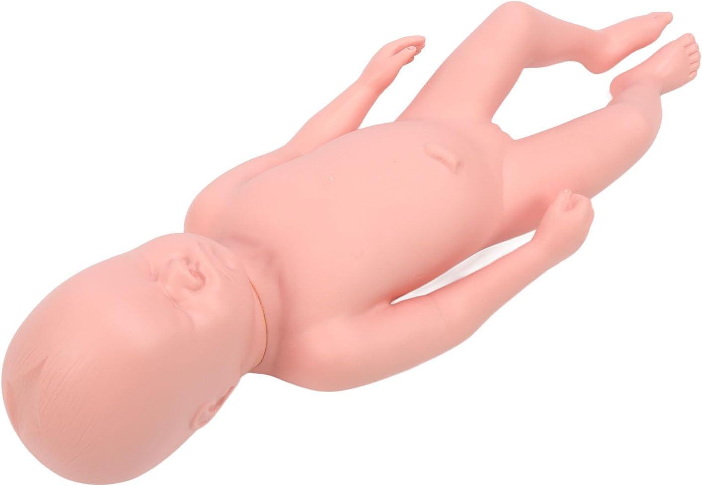 mi sex doll Pennsylvania police say sex doll mistaken for human remains