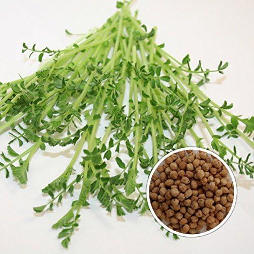 house plant potting soil Houseplant Potting Mix 7L  HydraGarden