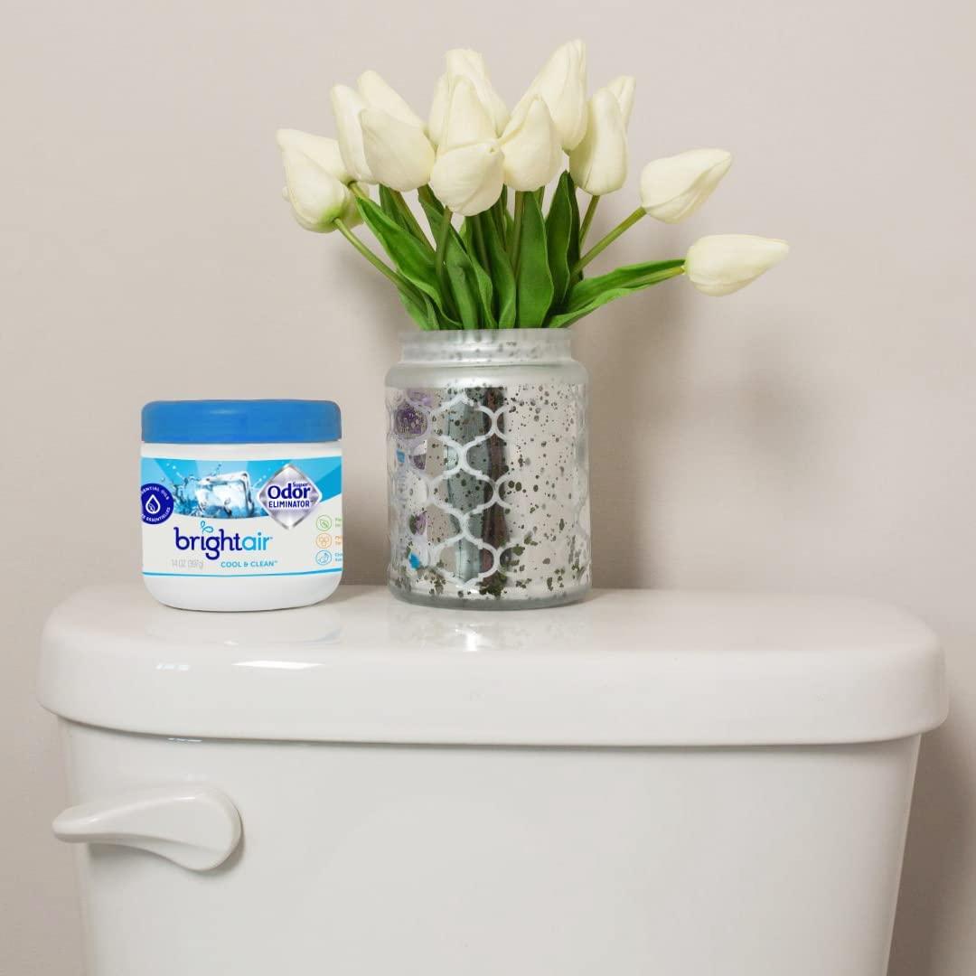 Bright Air Solid Air Freshener and Odor Eliminator, Cool and Clean