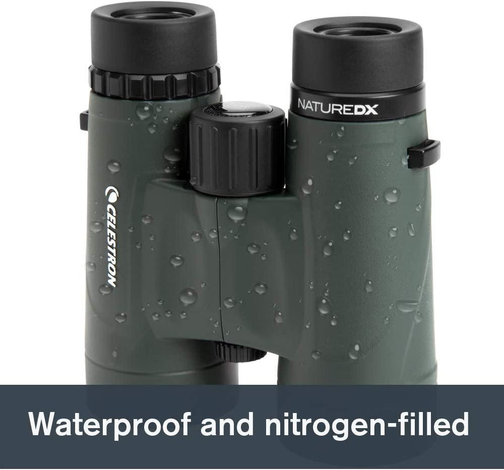 Test des jumelles Celestron Nature DX 10x42 : prismes BaK-4