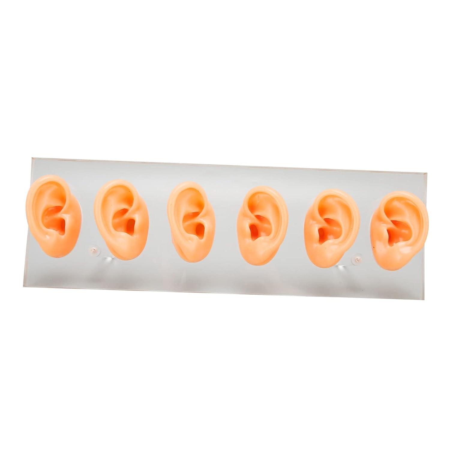 6 Pcs Silicone Ear Model Set for Hearing Aids with Acrylic Display ...