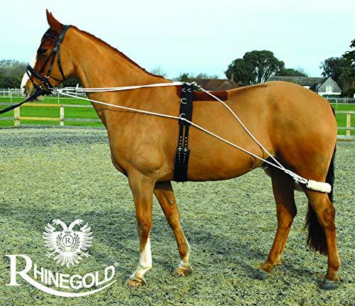 Set Allenamento Cavallo Rhinegold: Roller, Redini Laterali E Crupper - 3 Misure