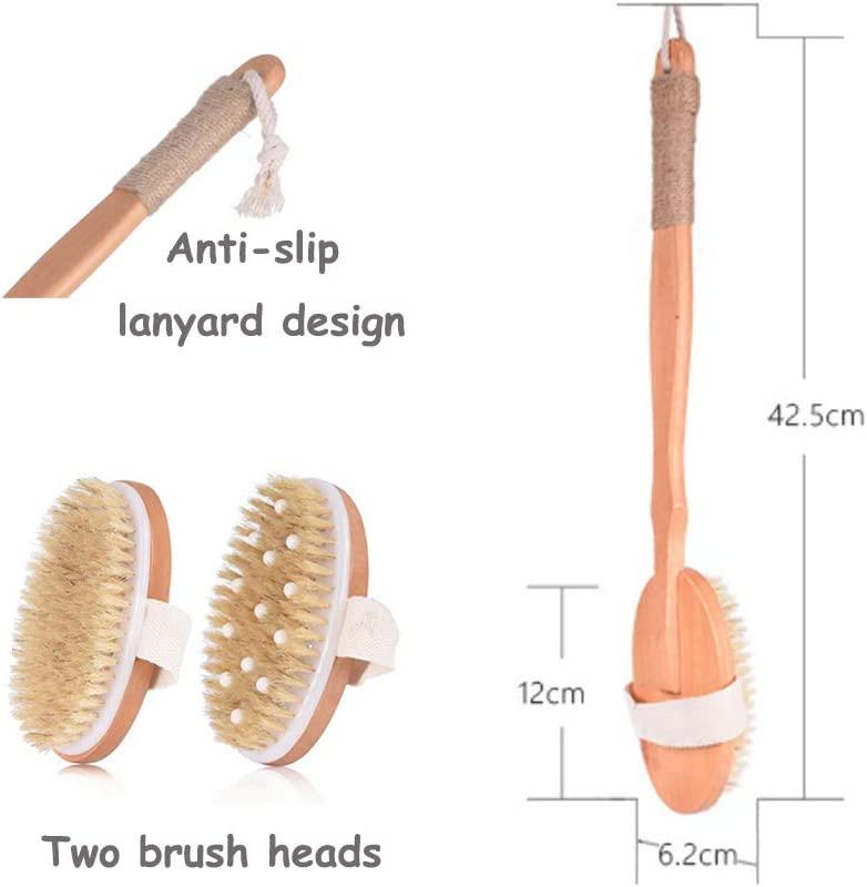 Spclsim Bath Brush Set Shower Brush Body Scrubber Brush Back Scrubber