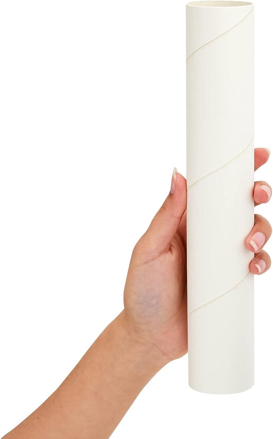 12 Pack White Cardboard Tubes for Crafts, Empty Paper Towels Rolls