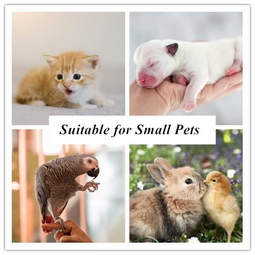 Greater Goods Digital Pet Scale - Accurately Weigh Your Kitten, Rabbit, or  Puppy  with a Wiggle-Proof Algorithm, a Great Option as a Scale for Small  Animals 