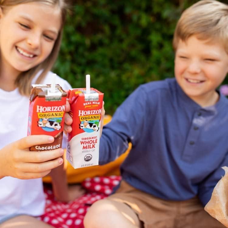 Organic ShelfStable Whole Milk boxes Horizon Whole Milk Single Serve 8